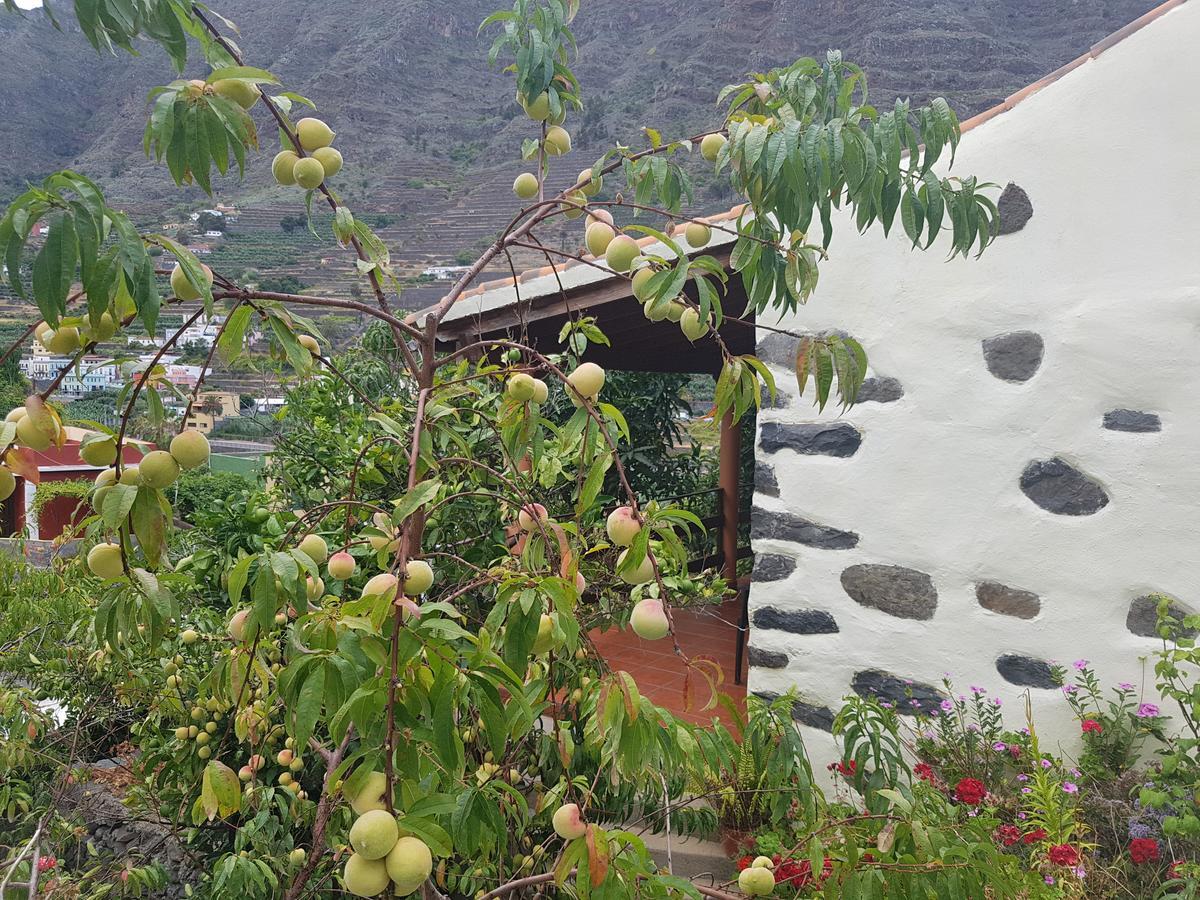 إرميغوا Casa Rural Las Nuevitas I المظهر الخارجي الصورة